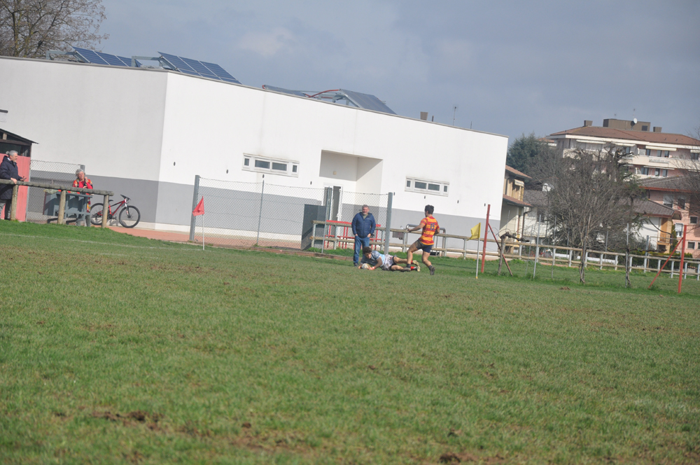 DSC_1487.jpg
