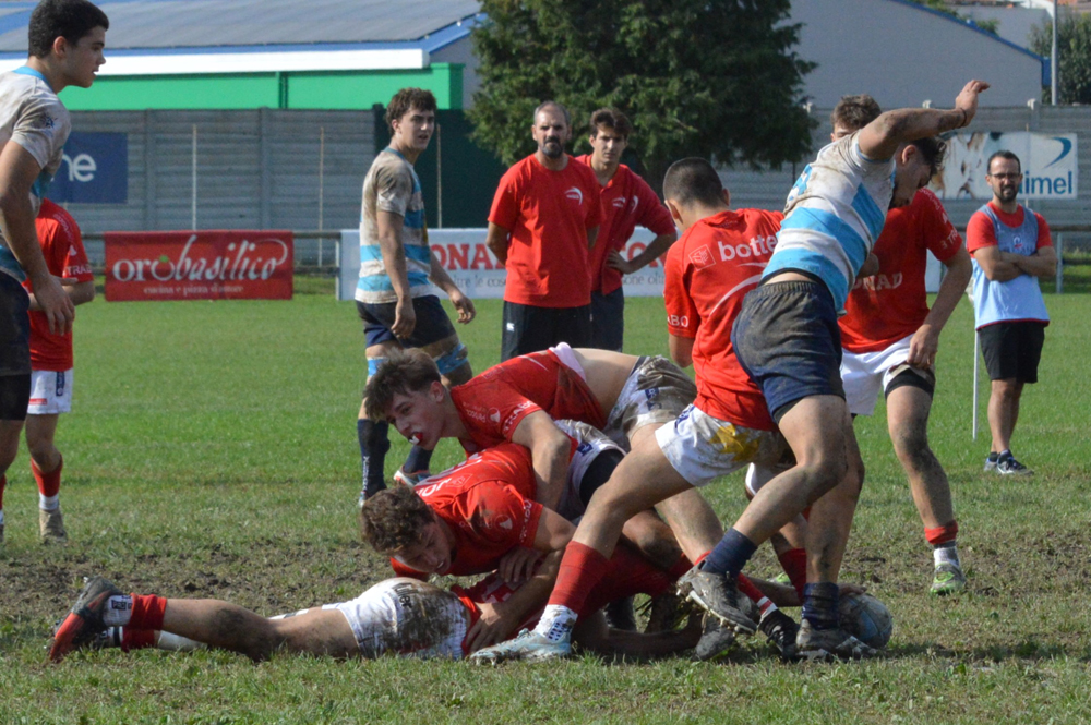 DSC_0365.jpg